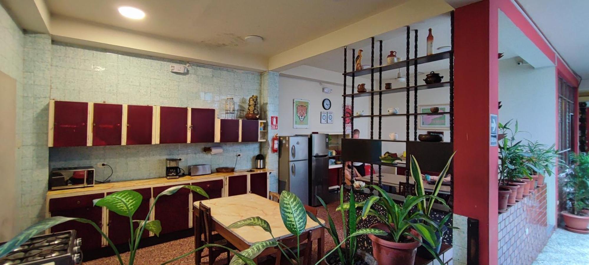 Flying Dog Hostel Икитос Экстерьер фото