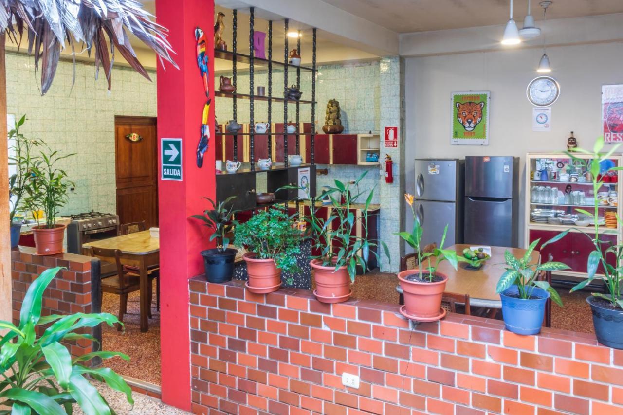 Flying Dog Hostel Икитос Экстерьер фото