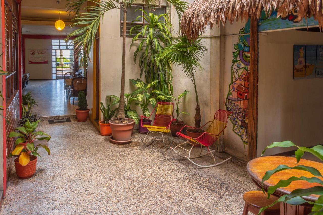 Flying Dog Hostel Икитос Экстерьер фото